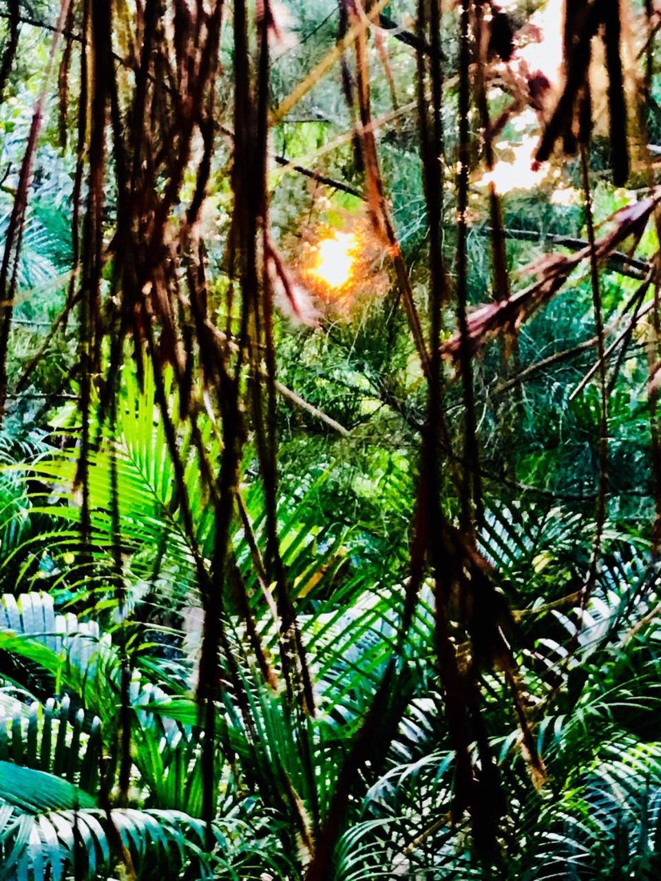 Banyan Tree Yoga Ξενοδοχείο Mandrem Εξωτερικό φωτογραφία