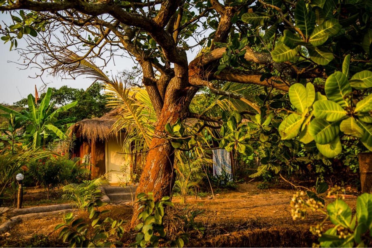 Banyan Tree Yoga Ξενοδοχείο Mandrem Εξωτερικό φωτογραφία